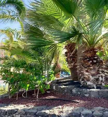 138 Los Angeles, Los Cristianos Close To The Ocean Apartment Los Cristianos (Tenerife)